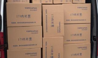 图雅诺真实油耗