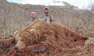 野生东北虎有多恐怖