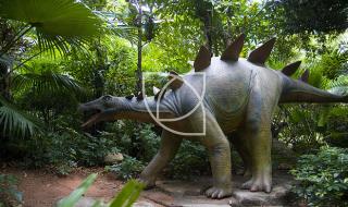 广东检出1例恐龙血