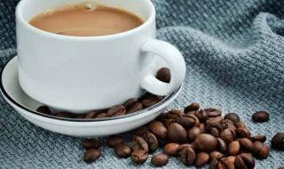 tiamo的意思 tiamo的意思