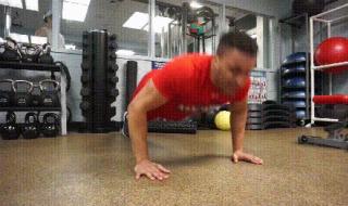 俯卧撑胸肌 俯卧撑胸肌