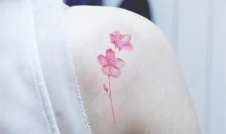 纹身的价格 纹身的价格