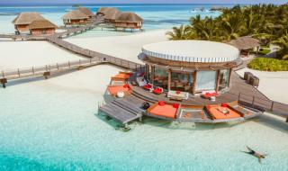 上海海洋馆地址 上海海洋馆地址