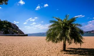 厦门商务酒店 厦门商务酒店