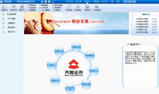 齐鲁证券网上交易系统 齐鲁证券网上交易系统