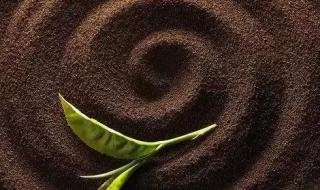 史上最诡异的汉字