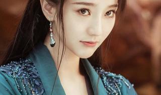 多情人总被无情的伤