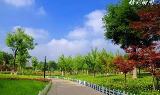 中原官话蔡鲁片 中原官话蔡鲁片