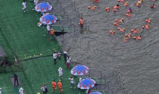 广州珠江水面鱼群齐游 广州珠江水面鱼群齐游