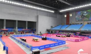 2020年世界杯乒乓球赛